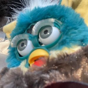 Meet your Posher, Natalie